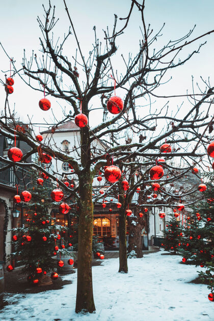 装饰奥地利萨尔茨堡 装饰非常漂亮的圣诞树上有大量的大红球圣诞树圣诞户外