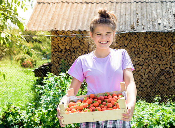 人农夫从灌木丛里摘草莓年轻饮食农业