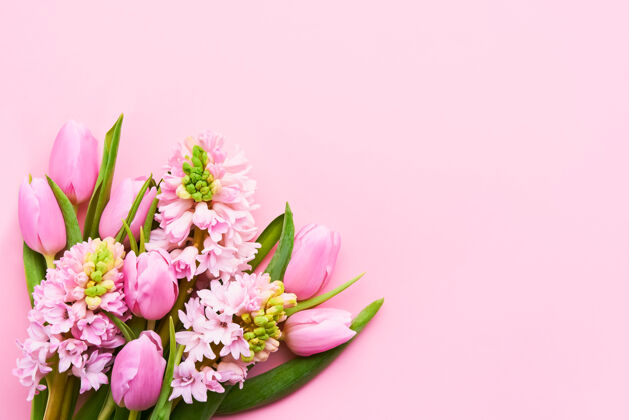 花束粉红色的郁金香和粉红色的风信子花在粉红色的花束上墙.顶查看 复制文本空间郁金香束顶视图