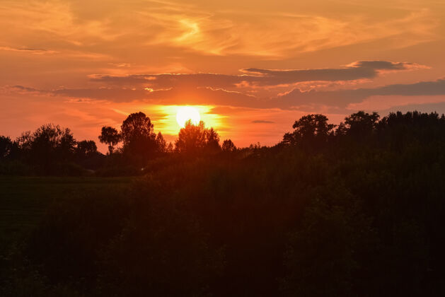 户外橘色的日落在森林公园上空 橘色的天空景色早晨风景