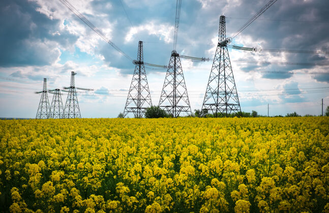 加拿大在一个黄色油菜田中间的输电塔布鲁姆高春天的高压电线耕种晶格田地