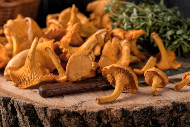 烹饪生的野生蘑菇和莳萝一起放在篮子里放在木头表面蘑菇美食野生