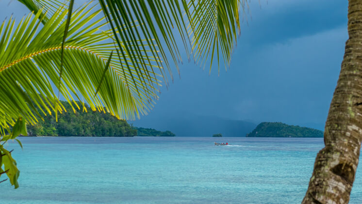 海洋美丽的蓝色拉戈内与棕榈树在前面 甘岛 西巴布亚 拉贾安帕特 印度尼西亚民族岛屿发展