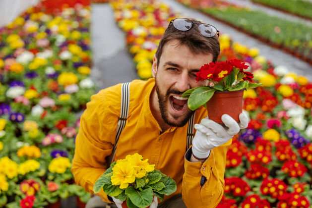 工人微笑的园丁蹲在温室里 用鲜花做傻脸生态专业知识植物