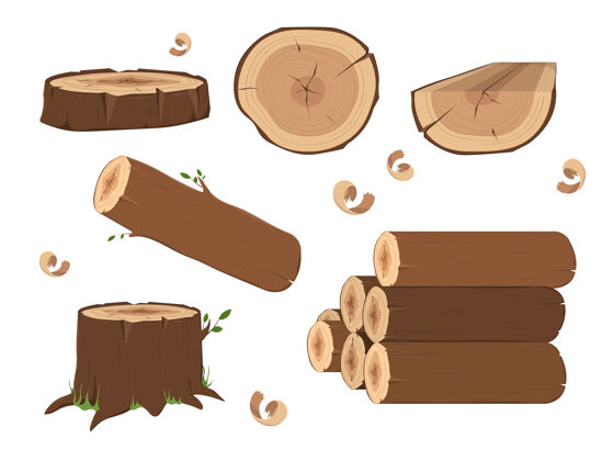 树皮把木头和树干隔离在白色的地板上树干木材木柴