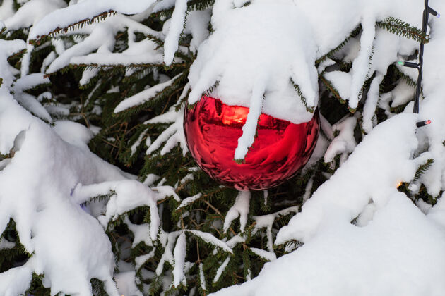 雪雪白云杉树枝上的红球寒冷霜冻覆盖