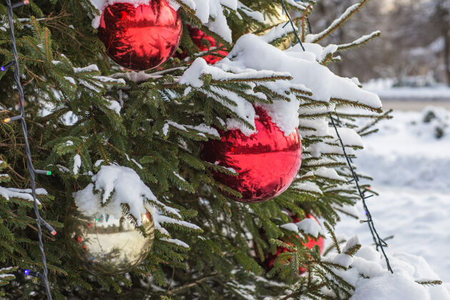 冬天冰雪覆盖的冷杉树上五颜六色的球冰霜冻松