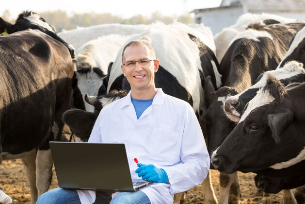 牲畜兽医用笔记本电脑和农场牛的生物测试男性诊断牛肉