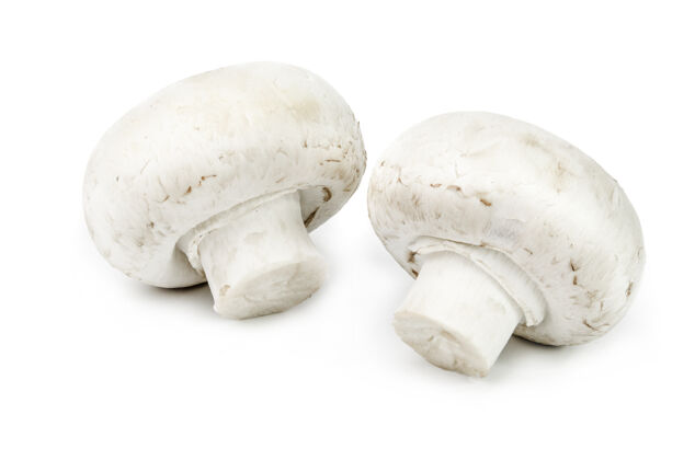 香菇香菇隔离在白色切口上蘑菇木耳整个