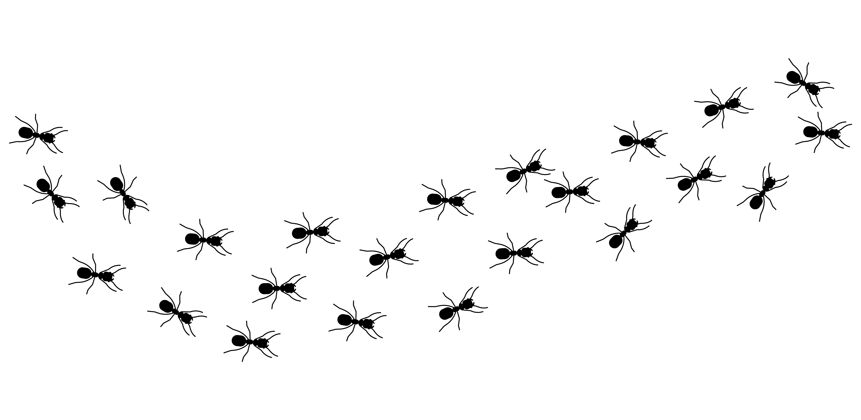 吉祥物螞蟻柱黑昆蟲剪影旅行團隊合作 努力工作的比喻線條細節收集