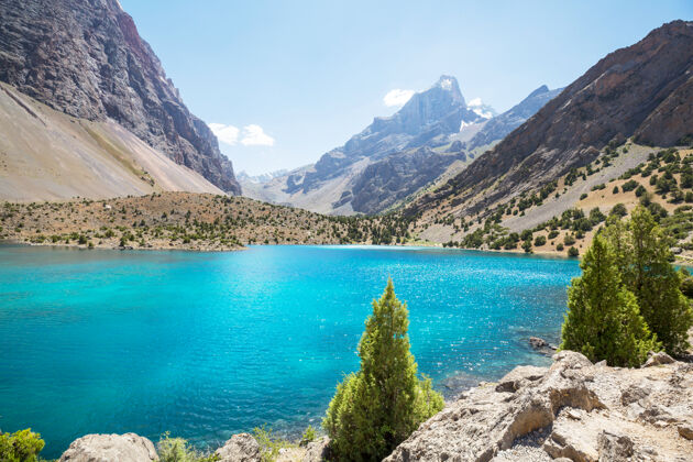 树美丽宁静的湖泊在梵山（帕米尔的分支）在塔吉克斯坦自然森林淡水