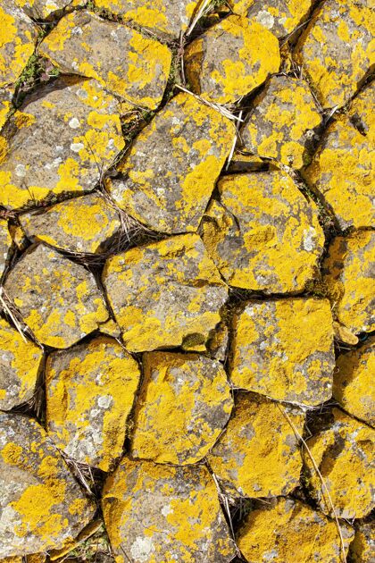 岩石质感黄岩背景地质固体