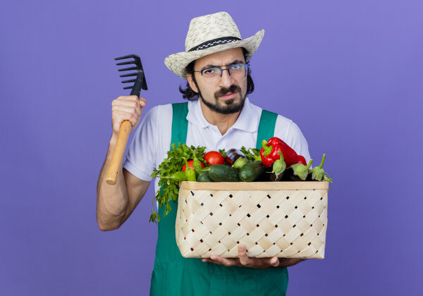 穿着年轻的留着胡须的园丁 穿着连体衣 戴着帽子 手里拿着装满蔬菜的箱子 拿着小耙子 严肃的脸站在蓝色的墙上看着前面帽子脸连体衣