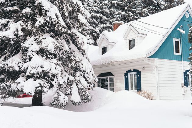 树冬天 大房子被白雪覆盖天气雪房子