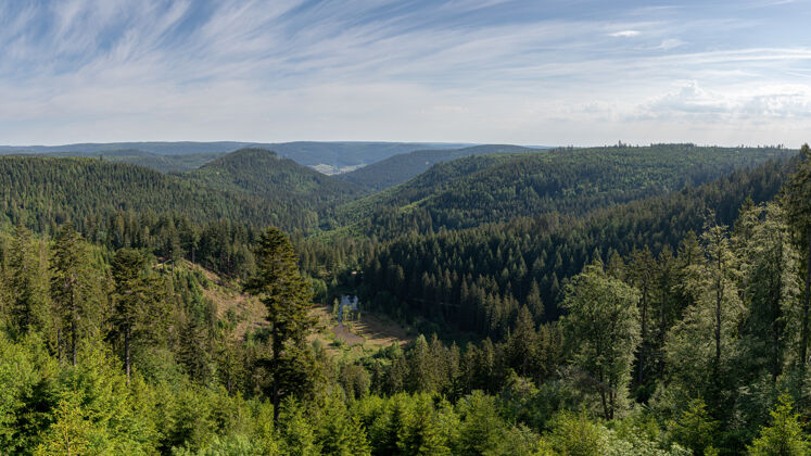 自然德国黑森林的美丽照片树天乡