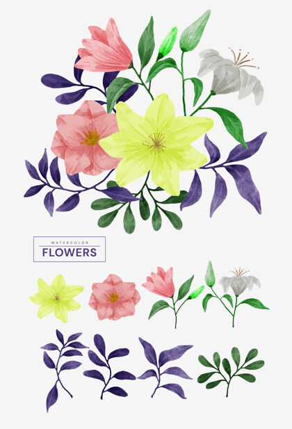 艺术家水彩花套装植物花卉庆典
