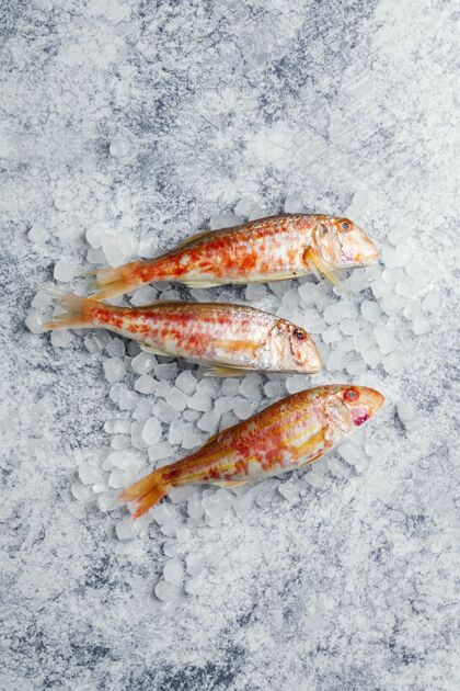 食物生鱼创意布置美味味道食物