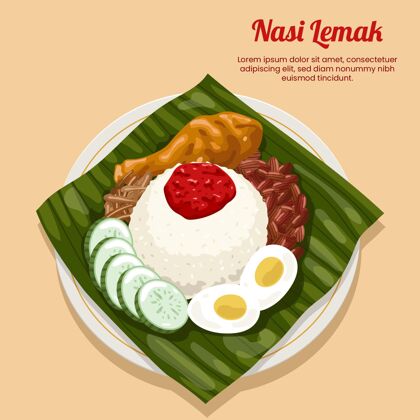 美食详细的纳西莱马克食品插图膳食马来西亚美味