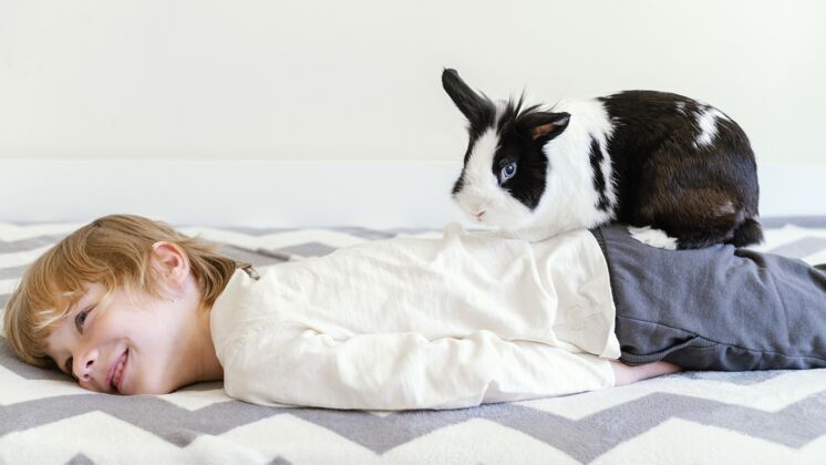 可爱中枪小子和兔子在床上业主水平内部