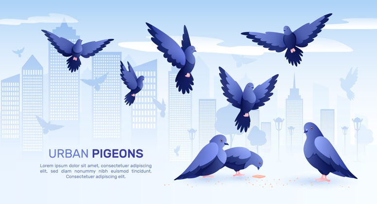 鸽子鸽子用城市的平面构成鸟鸽的剪影剪影鸟城市景观