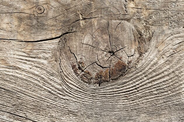 特写特写木材纹理背景木头背景表面背景