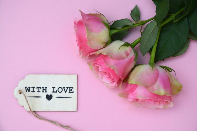 玫瑰美丽的粉红色玫瑰与浪漫的爱情卡隔离在粉红色的背景粉红色自然花