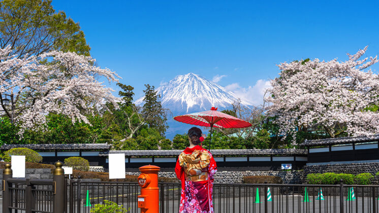 富士山穿着日本传统和服的亚洲妇女在富士山和春天的樱花 日本的富士宫东京美丽樱花
