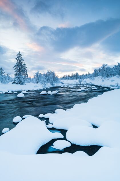 风景垂直拍摄的河流与雪在它和附近的森林覆盖着雪在瑞典的冬天树冷自然