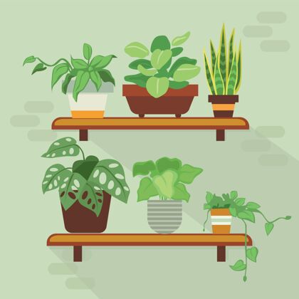蔬菜有机平面室内植物系列自然室内植物植物收集