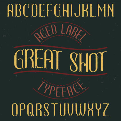 字母复古标签字体命名伟大的镜头标题脚本Typescript