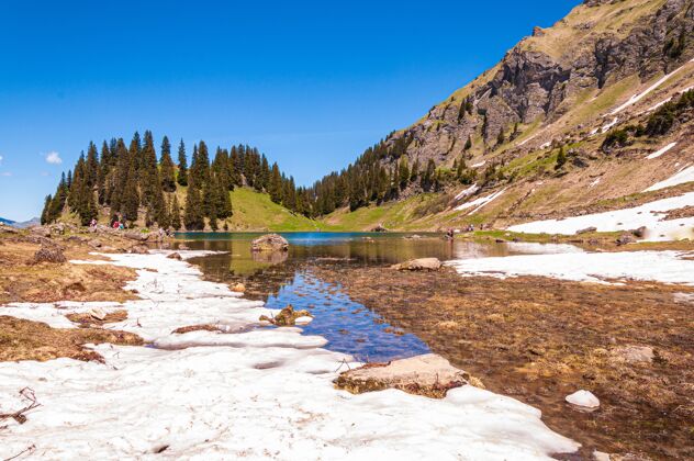 乡村瑞士laclioson湖水环绕着树木和山脉风景高山山峰