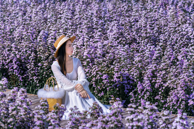 成人穿着白裙子的漂亮女孩坐在玛格丽特花丛里浪漫旅程泰国