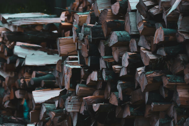 木材一堆木头的特写镜头树干木材干