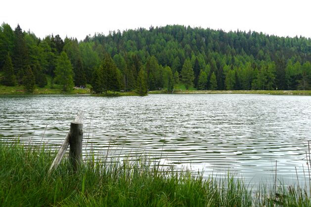 地标特雷特湖被森林覆盖的群山环绕 意大利特伦蒂诺意自然景