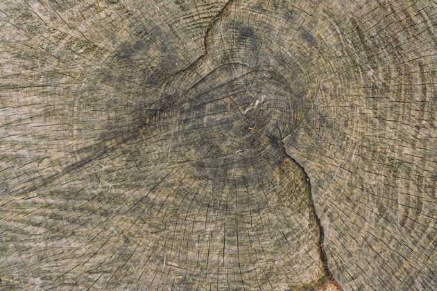 背景特写木头质地的树松木面板地板