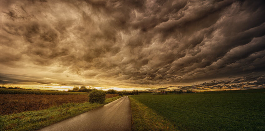 云在绿色和棕色田野之间的道路日落路路