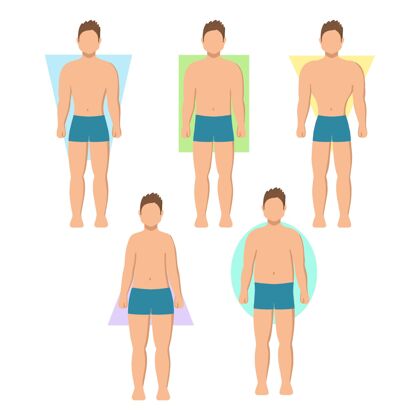 不同男性体型包男人身材轮廓