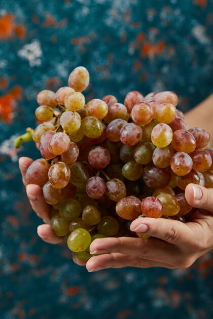 持有新鲜的红葡萄在手上的蓝色表面水果季节葡萄
