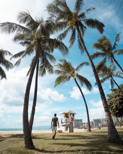 景观一个男人走在棕榈树覆盖的海滩上 一边享受阳光的垂直镜头阳光美丽浪