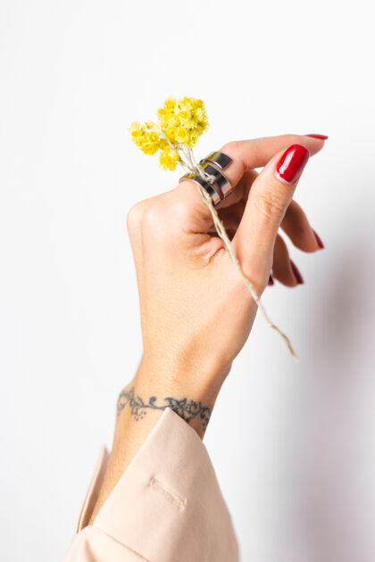 雏菊软照片的女人手红色指甲 戒指上的手指 举行可爱的黄色小干花 白色女性装饰浪漫