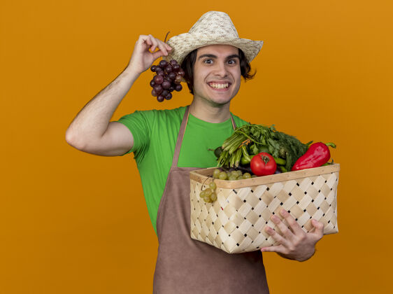 微笑年轻的园丁 围着围裙 戴着帽子 手里拿着装满蔬菜和葡萄的箱子 站在橘色的墙上 满脸笑容 满脸幸福抱着一捆站着