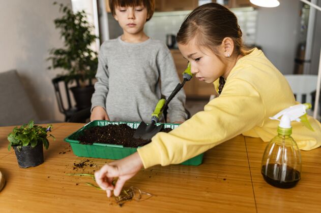 活动孩子们在家里学习如何播种有机种植农学