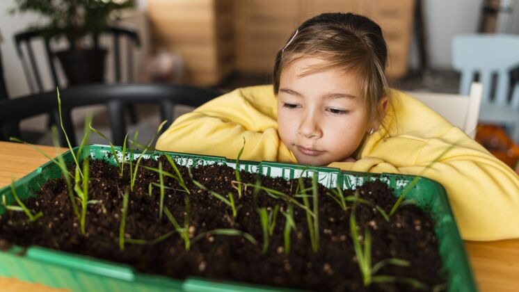 有机女孩在家看豆芽生长的正面图蔬菜农业自然