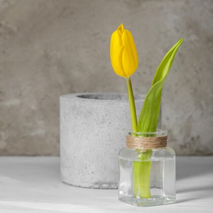 分类正面图花瓶里的黄色郁金香植物春天花