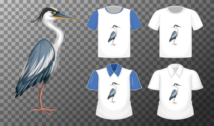 鸟鹳鸟站在卡通人物的立场与多种类型的透明衬衫团体年轻领子