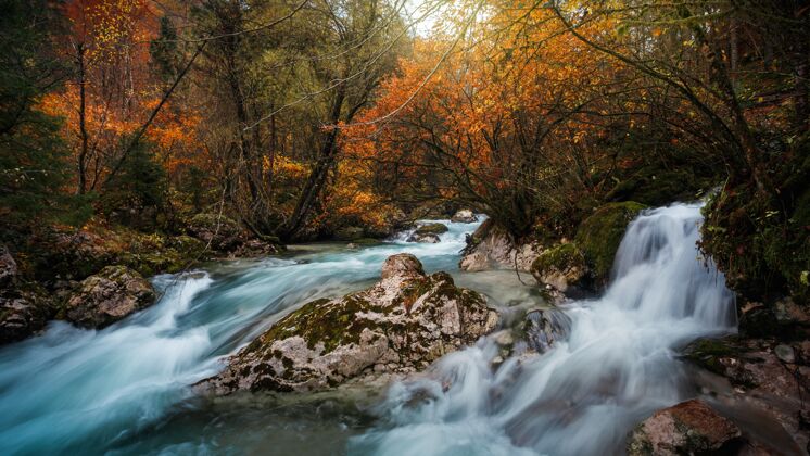 河流美丽的照片特里格拉夫国家公园 斯洛文尼亚在秋天阿尔卑斯山自然徒步旅行
