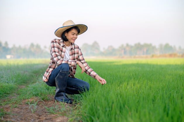 臉亞洲農婦戴著帽子坐在綠色稻田里綠色農業坐著