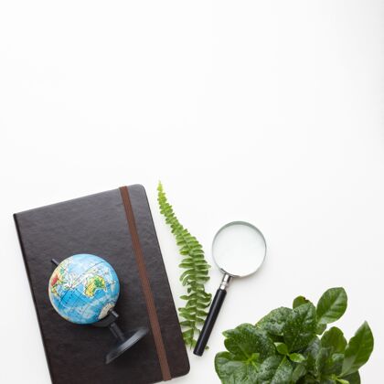 环境带植物和笔记本的顶视图框架布局环境俯视图