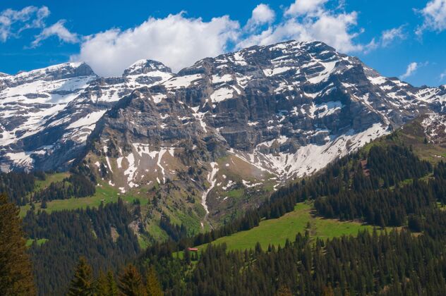 光美丽的瑞士阿尔卑斯山 绿树成荫 山顶白雪皑皑旅游山云
