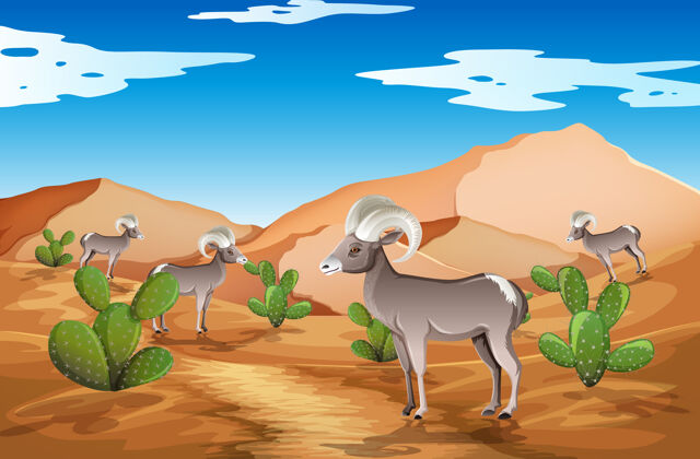 卡通野外沙漠景观在白天的景象自然沙漠干旱